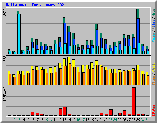 Daily usage for January 2021