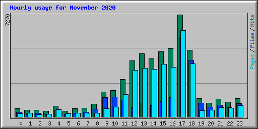 Hourly usage for November 2020