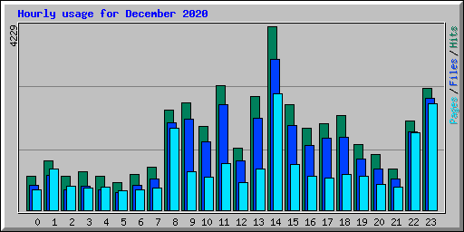 Hourly usage for December 2020