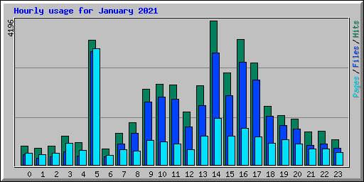 Hourly usage for January 2021