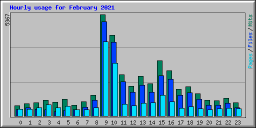Hourly usage for February 2021
